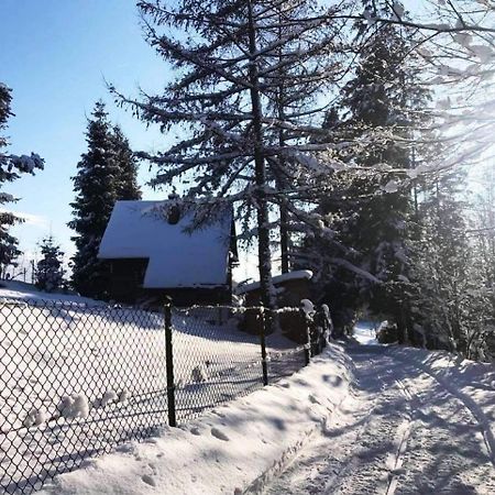 Domek Pod Modrzewiem Nowy Targ Zewnętrze zdjęcie