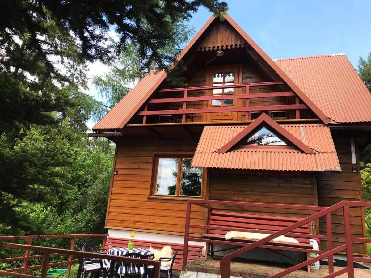 Domek Pod Modrzewiem Nowy Targ Zewnętrze zdjęcie