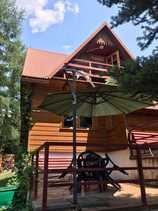 Domek Pod Modrzewiem Nowy Targ Zewnętrze zdjęcie