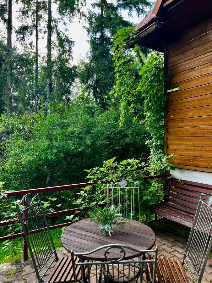 Domek Pod Modrzewiem Nowy Targ Zewnętrze zdjęcie
