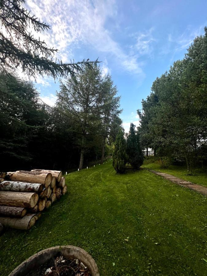 Domek Pod Modrzewiem Nowy Targ Zewnętrze zdjęcie