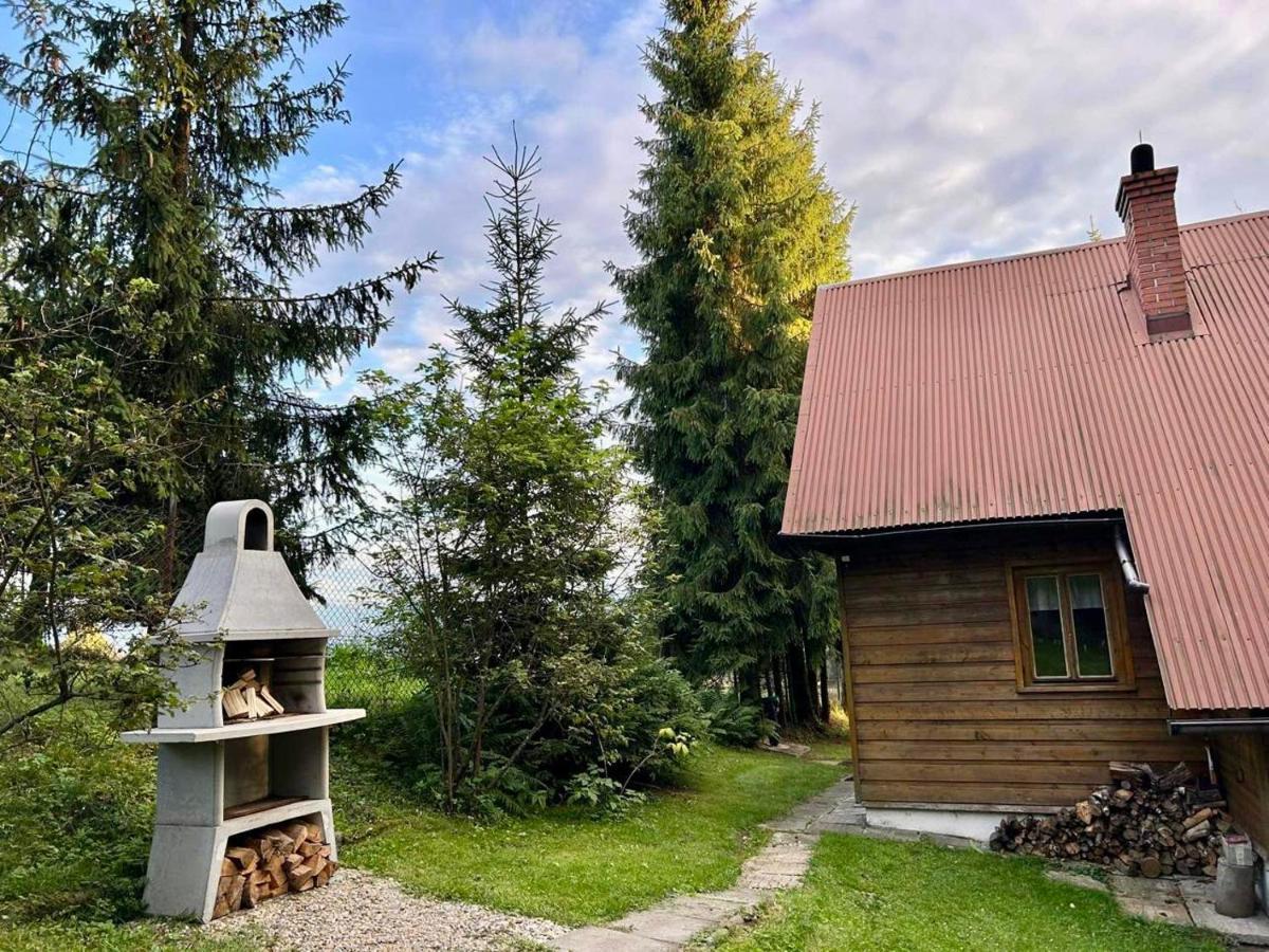 Domek Pod Modrzewiem Nowy Targ Zewnętrze zdjęcie