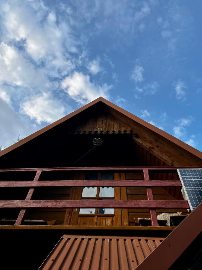 Domek Pod Modrzewiem Nowy Targ Zewnętrze zdjęcie