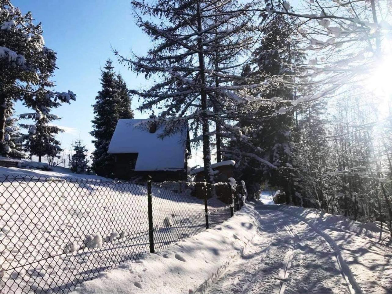 Domek Pod Modrzewiem Nowy Targ Zewnętrze zdjęcie